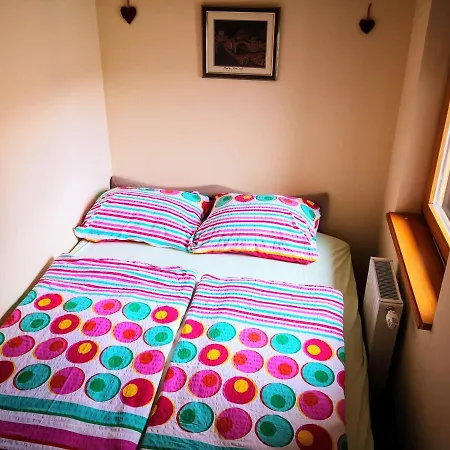 Sara Babanovac Vlasic Travnik