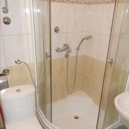 Sara Babanovac Vlasic *