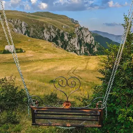 Sara Babanovac Vlasic *